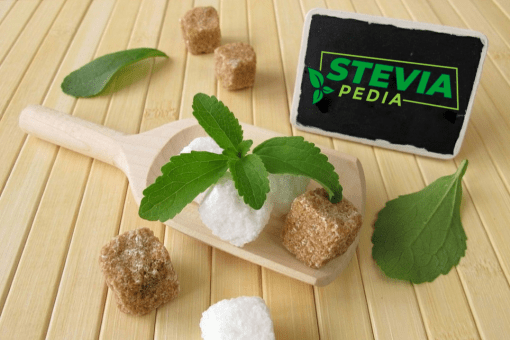 stevia pedia about us