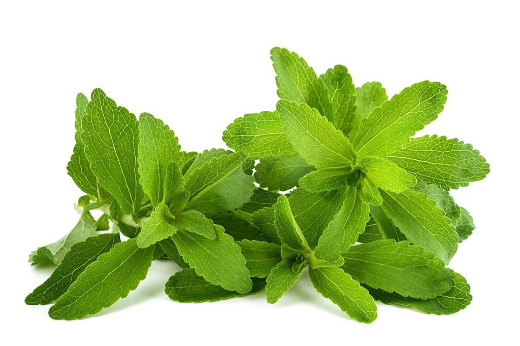 What are the side effects of stevia? Stevia Pedia